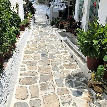 Stella's In * Κόρωνος