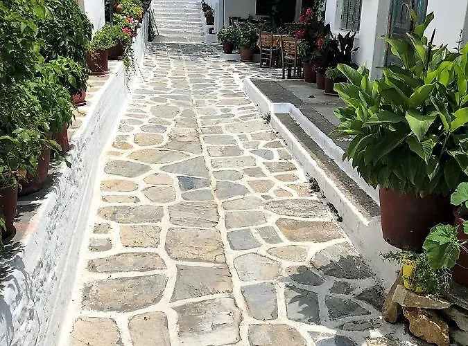 Stella's In * Koronos