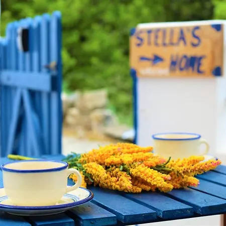 Stella's In *